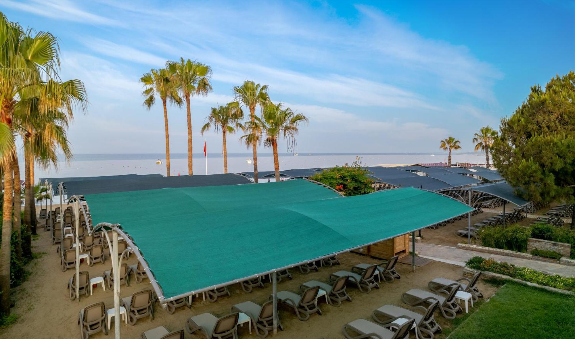 Trendy Palm Beach Adults Only Side Eksteriør billede